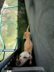 WhatsApp Image 2023-03-01 at 09.27.30