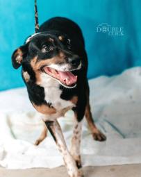 WhatsApp Image 2024-02-29 at 18.36.21