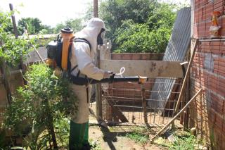 WhatsApp Image 2020-12-01 at 10.05.22 (1)