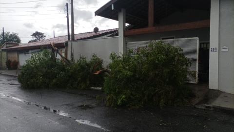 WhatsApp Image 2026-02-01 at 18.16.45