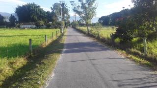 Estradas rurais recebem serviços de roçada no bairro Massain