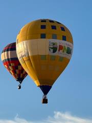 WhatsApp Image 2023-05-02 at 19.12.25