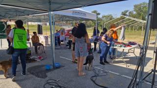 WhatsApp Image 2024-07-02 at 15.23.29