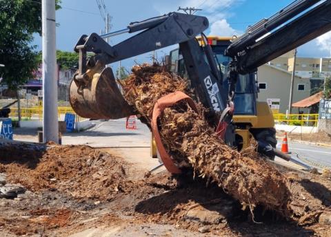 WhatsApp Image 2026-02-04 at 10.16.57