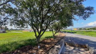 WhatsApp Image 2023-04-04 at 11.36.21