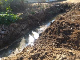 WhatsApp Image 2021-08-04 at 12.18.25