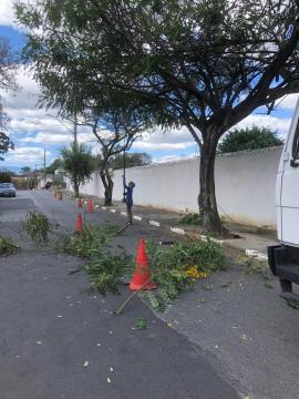 WhatsApp Image 2025-11-04 at 15.40.21