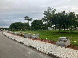 WhatsApp Image 2024-02-05 at 14.19.53