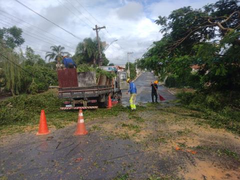 WhatsApp Image 2026-02-05 at 15.03.15