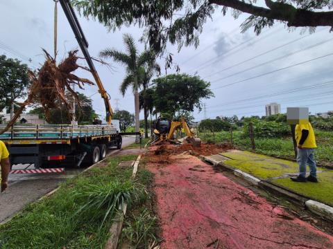 WhatsApp Image 2026-02-05 at 16.28.03