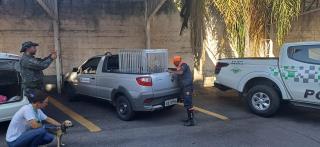 WhatsApp Image 2024-03-05 at 07.18.04