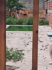 WhatsApp Image 2024-03-05 at 07.18.02