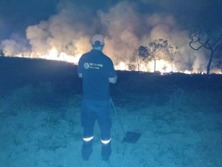 WhatsApp Image 2025-08-05 at 11.31.07