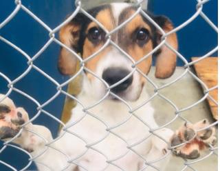 WhatsApp Image 2021-11-04 at 18.38.57