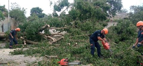 WhatsApp Image 2026-02-06 at 14.40.16