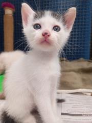 WhatsApp Image 2022-04-06 at 15.56.24