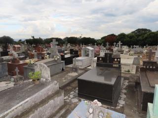 WhatsApp Image 2022-12-06 at 16.46.39