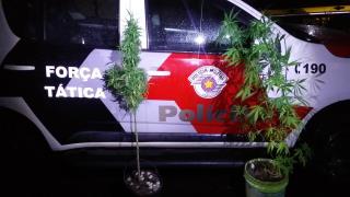 WhatsApp Image 2021-01-07 at 14.29.00