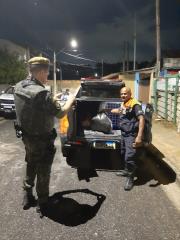 WhatsApp Image 2025-02-07 at 14.59.25