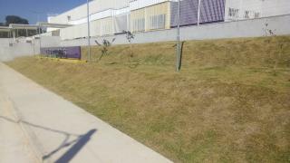 WhatsApp Image 2021-05-07 at 11.45.56