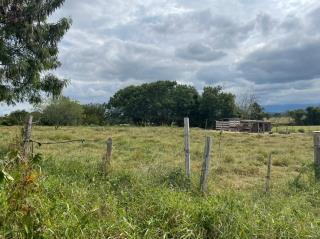 WhatsApp Image 2021-05-07 at 15.36.20