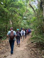 WhatsApp Image 2025-10-07 at 17.21.03