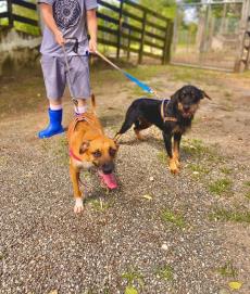 WhatsApp Image 2022-02-08 at 08.46.10