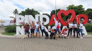 WhatsApp Image 2024-02-08 at 15.09.07