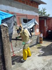 WhatsApp Image 2024-02-08 at 18.18.39