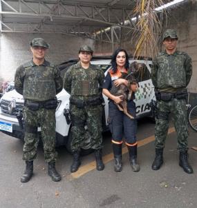 WhatsApp Image 2023-08-09 at 08.25.23