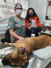 WhatsApp Image 2021-09-09 at 16.27.38