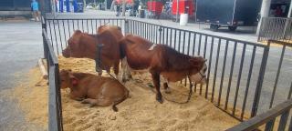 WhatsApp Image 2022-11-09 at 15.33.46