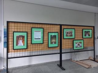 WhatsApp Image 2022-11-09 at 15.53.06