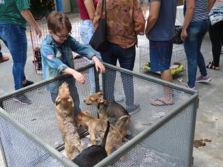 WhatsApp Image 2023-11-09 at 17.17.20