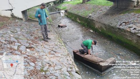 WhatsApp Image 2026-02-10 at 11.43.45