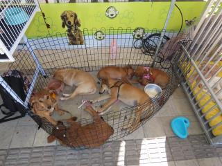 WhatsApp Image 2024-06-10 at 12.27.26 (1)