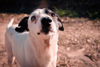 WhatsApp Image 2022-08-10 at 16.14.31