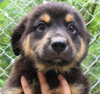 WhatsApp Image 2020-12-10 at 16.13.39