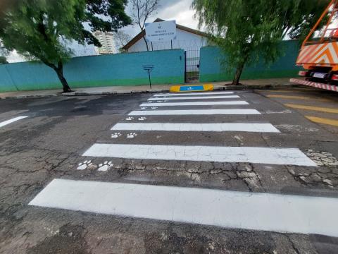 WhatsApp Image 2026-02-11 at 16.51.33