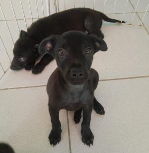 WhatsApp Image 2022-03-10 at 17.34.52