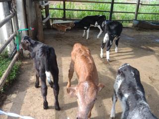 WhatsApp Image 2025-06-11 at 14.46.14