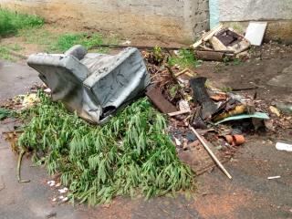 WhatsApp Image 2021-02-12 at 11.13.57