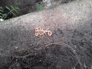 WhatsApp Image 2021-03-12 at 15.43.18