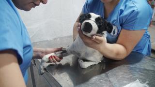 WhatsApp Image 2022-04-12 at 12.30.36