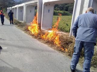 WhatsApp Image 2022-05-12 at 15.03.25 (1)