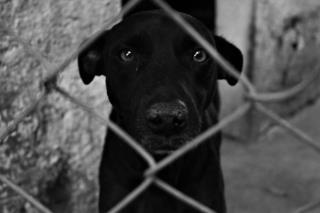 WhatsApp Image 2021-07-12 at 11.59.31