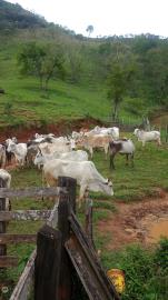 WhatsApp Image 2025-11-12 at 15.36.47