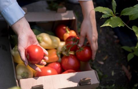 WhatsApp Image 2026-01-13 at 15.01.07