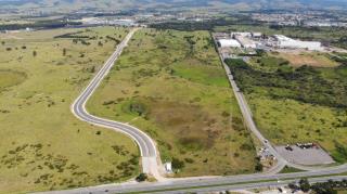 WhatsApp Image 2025-02-12 at 17.50.47