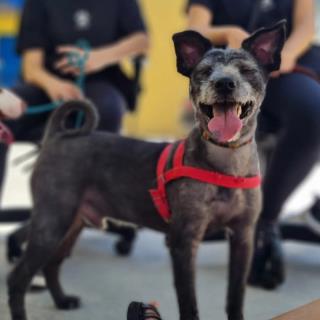 WhatsApp Image 2025-02-13 at 14.33.35 (1)